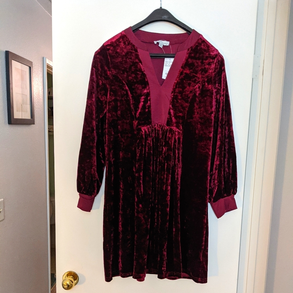 NWT Burgandy Velvet Tunic Dress
